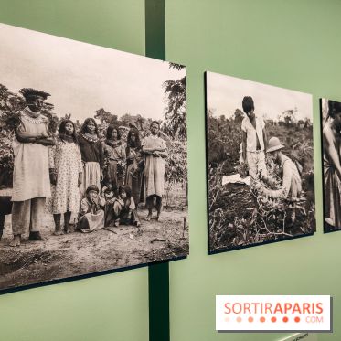 Visions chamaniques : l'exposition du musée du Quai Branly qui nous transporte en Amazonie