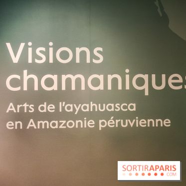 Visions chamaniques : l'exposition du musée du Quai Branly qui nous transporte en Amazonie