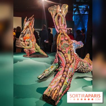 Visions chamaniques : l'exposition du musée du Quai Branly qui nous transporte en Amazonie - IMG20231113152843
