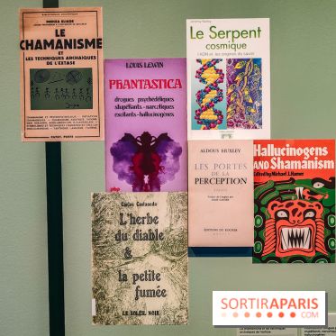 Visions chamaniques : l'exposition du musée du Quai Branly qui nous transporte en Amazonie