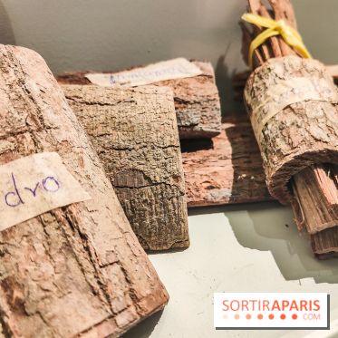 Visions chamaniques : l'exposition du musée du Quai Branly qui nous transporte en Amazonie