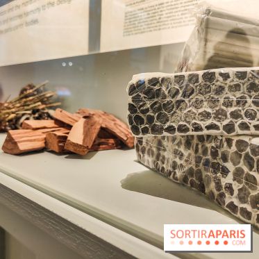 Visions chamaniques : l'exposition du musée du Quai Branly qui nous transporte en Amazonie - IMG20231113151515