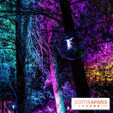 Lumières en Seine au Parc de Saint-Cloud 2023, le parcours de lumières -  A7C7416