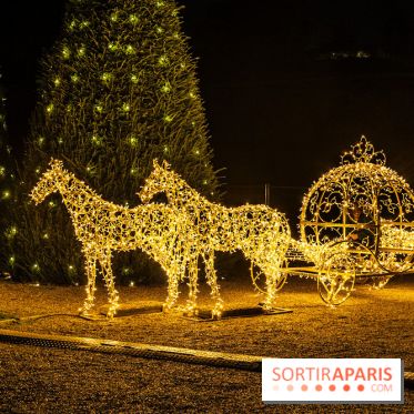 Lumières en Seine au Parc de Saint-Cloud 2023, le parcours de lumières -  A7C7372 2