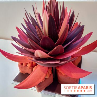 Bûches et chocolats de Noël 2023 de Pierre Marcolini, nos photos - 20230907 112813