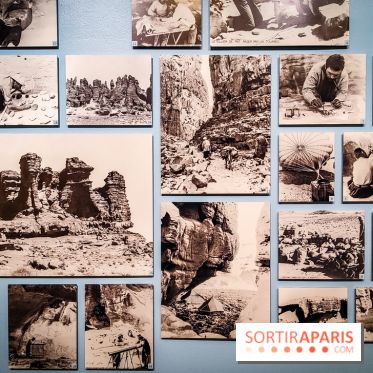 Préhistomania au Musée de l'Homme : l'exposition événement autour de l'art rupestre - nos photos - IMG20231115101608