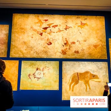 Préhistomania au Musée de l'Homme : l'exposition événement autour de l'art rupestre - nos photos - IMG20231115100005
