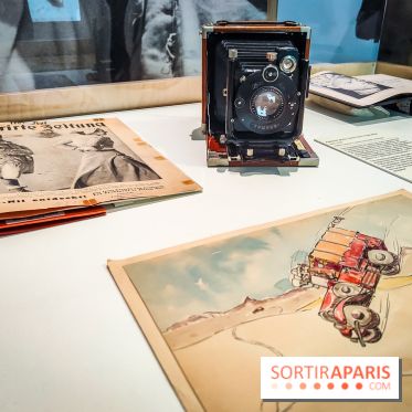 Préhistomania au Musée de l'Homme : l'exposition événement autour de l'art rupestre - nos photos - IMG20231115101004