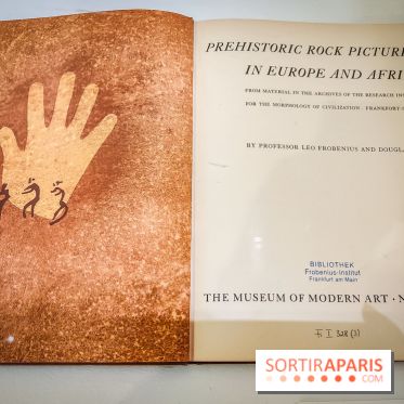 Préhistomania au Musée de l'Homme : l'exposition événement autour de l'art rupestre - nos photos - IMG20231115102949