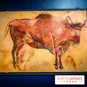 Préhistomania au Musée de l'Homme : l'exposition événement autour de l'art rupestre - nos photos - IMG20231115100219