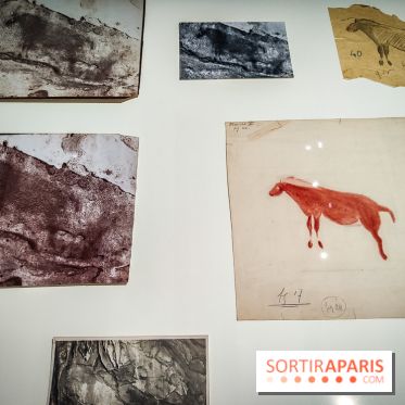 Préhistomania au Musée de l'Homme : l'exposition événement autour de l'art rupestre - nos photos - IMG20231115100438