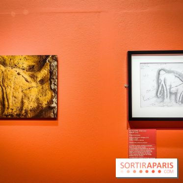 Préhistomania au Musée de l'Homme : l'exposition événement autour de l'art rupestre - nos photos - IMG20231115103858