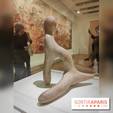 Préhistomania au Musée de l'Homme : l'exposition événement autour de l'art rupestre - nos photos - IMG20231115103331