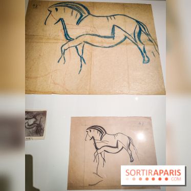 Préhistomania au Musée de l'Homme : l'exposition événement autour de l'art rupestre - nos photos - IMG20231115100300