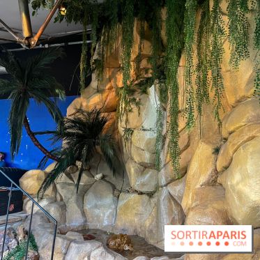 Le brunch du Comptoir Général - nos photos - image00045