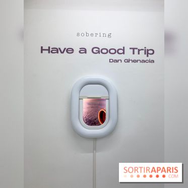 Exposition immersive Have a Good Trip Dan Ghenacia Sobering Galerie