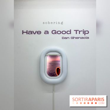 Exposition immersive Have a Good Trip Dan Ghenacia Sobering Galerie