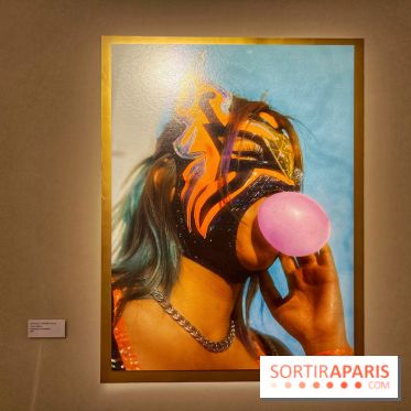 Lucha Libre à l'Institut culturel du Mexique - IMG 6789 2