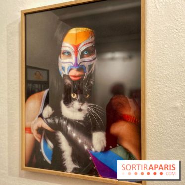 Lucha Libre à l'Institut culturel du Mexique - IMG 6790 2