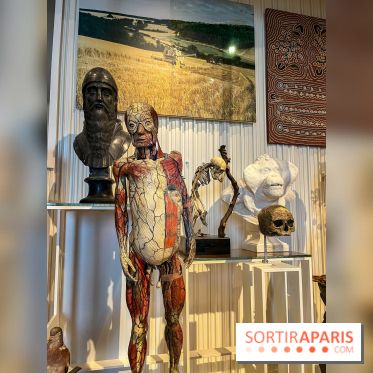 Le musée de l'Homme - collections permanentes