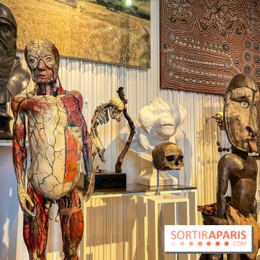 Le musée de l'Homme - collections permanentes
