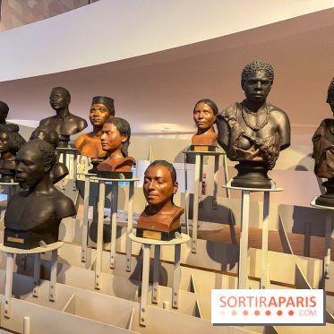 Le musée de l'Homme - collections permanentes