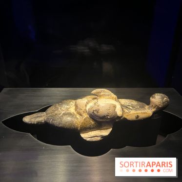 Le musée de l'Homme - collections permanentes - image00042