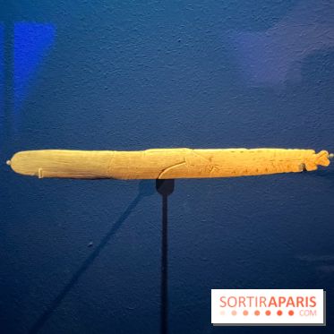 Le musée de l'Homme - collections permanentes