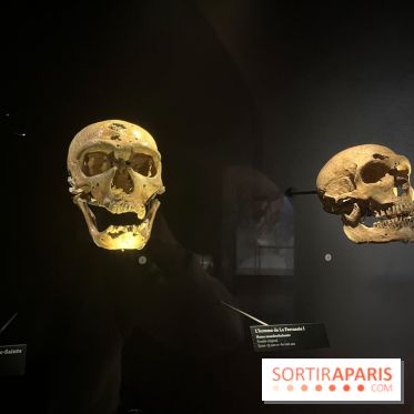 Le musée de l'Homme - collections permanentes - image00044