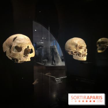 Le musée de l'Homme - collections permanentes