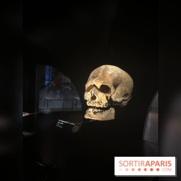 Le musée de l'Homme - collections permanentes