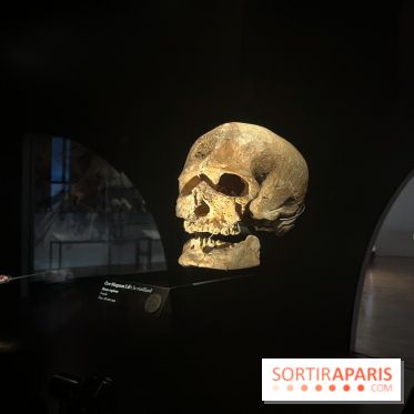 Le musée de l'Homme - collections permanentes