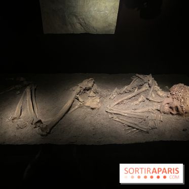 Le musée de l'Homme - collections permanentes