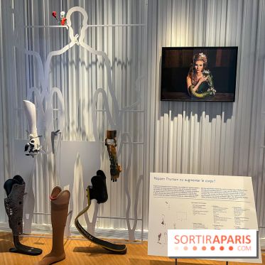 Le musée de l'Homme - collections permanentes