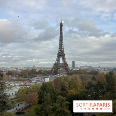 Le musée de l'Homme - collections permanentes - image00031