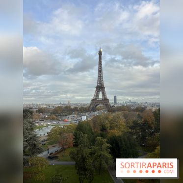 Le musée de l'Homme - collections permanentes - image00032