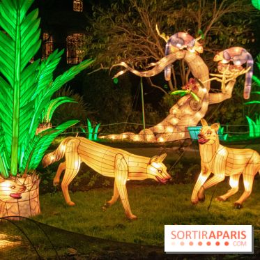 Jungle en voie d'illumination Jardin des Plantes