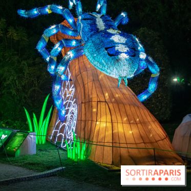 Jungle en voie d'illumination Jardin des Plantes