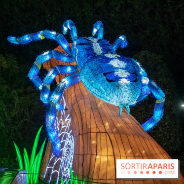 Jungle en voie d'illumination Jardin des Plantes