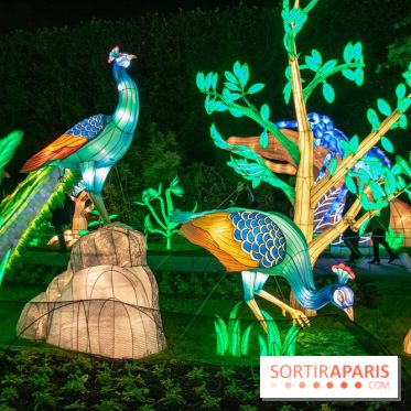 Jungle en voie d'illumination Jardin des Plantes