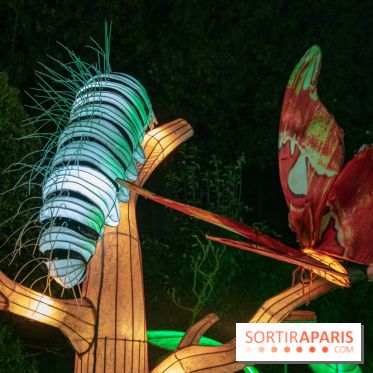 Jungle en voie d'illumination Jardin des Plantes