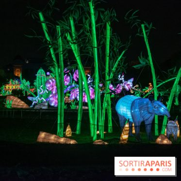Jungle en voie d'illumination Jardin des Plantes