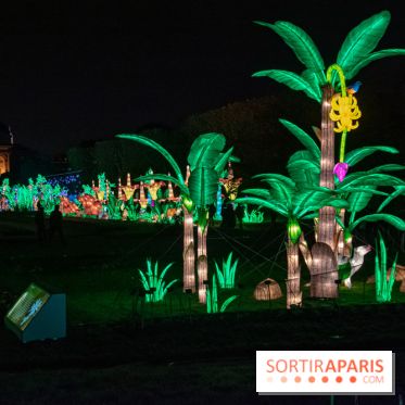 Jungle en voie d'illumination Jardin des Plantes