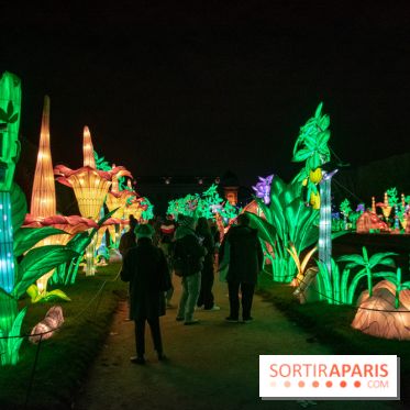 Jungle en voie d'illumination Jardin des Plantes