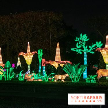 Jungle en voie d'illumination Jardin des Plantes