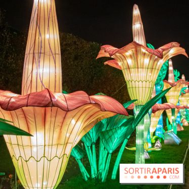 Jungle en voie d'illumination Jardin des Plantes