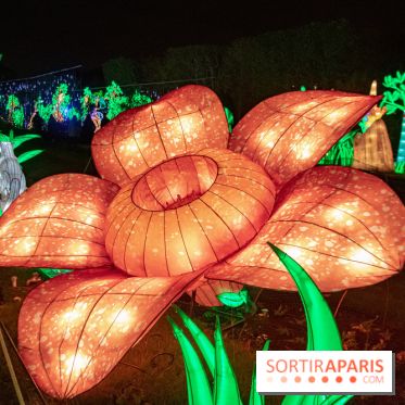 Jungle en voie d'illumination Jardin des Plantes