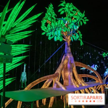 Jungle en voie d'illumination Jardin des Plantes