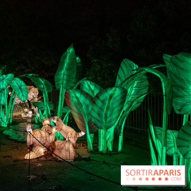 Jungle en voie d'illumination Jardin des Plantes