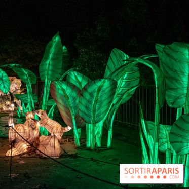 Jungle en voie d'illumination Jardin des Plantes